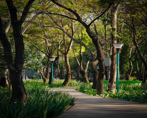 Persona caminando tranquilamente por un parque en la ciudad de México