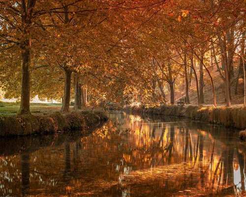 Mujer desayunando tranquilamente antes de ir a la oficina